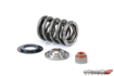 Picture of Skunk2 BRZ/FRS Alpha Dual Valve Spring and Titanium Retainers (DISCONTINUED)